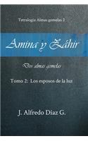 Amina y Zahir, dos almas gemelas: Los esposos de la luz(2 Amina Y Zahir, DOS Almas Gemelas)