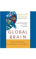 Global Brain: The Evolution of Mass Mind from the Big Bang to the 21st Century