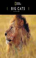 BIG CATS NATIONAL GEOGRAPHIC SQUARE WALL