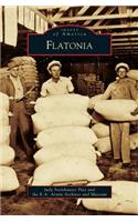 Flatonia