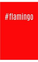 #flamingo