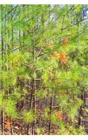 Spring Woods Pines Journal: (Notebook, Diary, Blank Book)