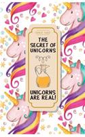 The Secret of Unicorns: The Perfect Password Journal - Hide Your Secret (1)