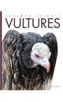 Amazing Animals: Vultures