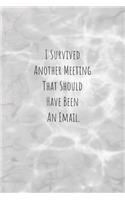 I Survived Another Meeting That Should Have Been An Email