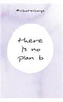 there is no plan b