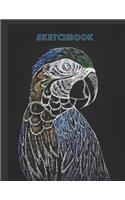 Parrot Sketchbook
