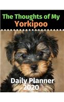 The Thoughts of My Yorkipoo