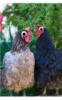 Googly Eye Chickens Journal: 100-page blank lined journal featuring chickens with googly eyes
