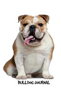 Bulldog Journal: 8 x 10 inch dog notebook, English Bulldog, college ruled composition book, lined paper, 150 pages
