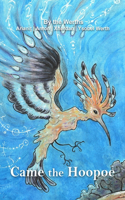Came the Hoopoe