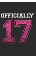 Officially 17: Happy 17 Years 17th Birthday 2002 Birthday Celebration Writing Journal Gift - Girly Milestone Memory Diary Logbook for Teenager Teens Teenies Boys G