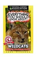 Everything You Should Know About: Wildcats