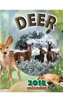 Deer 2018 Calendar