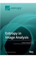 Entropy in Image Analysis
