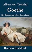 Goethe (Großdruck): Der Roman von seiner Erweckung