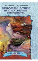 The phenomenon of the soul, or how to achieve perfection