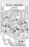 Sock Gnomes