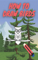 How To Draw Birds