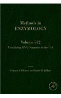 Visualizing RNA Dynamics in the Cell: Volume 572