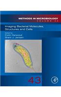 Imaging Bacterial Molecules, Structures and Cells