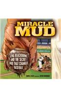 Miracle Mud