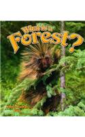 What is a Forest?: (Science of Living Things S.)