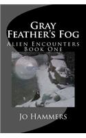 Gray Feather's Fog