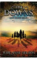 The Downs