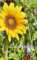 Notebook: Notebook / Planner / Journal / Diary with lovely Summer Meadow Cover - 120 pages - 6x9 - wide ruled paper