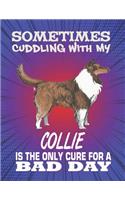 Sometimes Cuddling With My Collie Is The Only Cure For A Bad Day