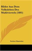 Bilder Aus Dem Volksleben Des Muhlviertels (1895)