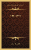 Wild Flowers