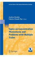 Topics on Concentration Phenomena and Problems with Multiple Scales: (Lecture Notes Of The Unione Mathematica Italiana)