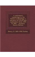 A Naturalist's Wanderings in the Eastern Archipelago; A Narrative of Travel and Exploration from 1878 to 1883