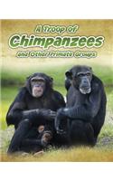 A Troop of Chimpanzees: And Other Primate Groups