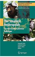 Smallest Anthropoids