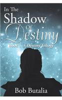 In The Shadow Of Destiny
