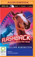 Flashback: The Amazing Adventures of a Film Horse