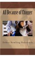 All Because of Chigger