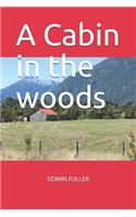A Cabin in the woods
