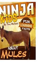 Fun Learning Facts about Mules: Illustrated Fun Learning for Kids