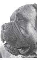 Bullmastiff November Notebook Bullmastiff Record, Log, Diary, Special Memories, To Do List, Academic Notepad, Scrapbook & More