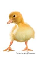 Cute Duck Workbook of Affirmations Cute Duck Workbook of Affirmations: Bullet Journal, Food Diary, Recipe Notebook, Planner, To Do List, Scrapbook, Academic Notepad