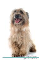 Pyrenean Shepherd Affirmations Workbook Pyrenean Shepherd Presents: Positive and Loving Affirmations Workbook. Includes: Mentoring Questions, Guidance, Supporting You.