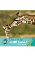 Giraffe Calves