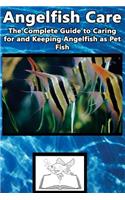 Angelfish Care