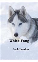 White Fang