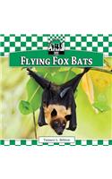Flying Fox Bats