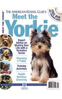 Meet the Yorkie